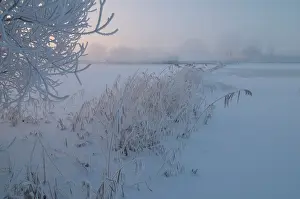 Hoar: Winter landscape of snow covered floodplain with hoar frost