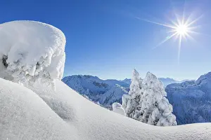 Upper: Winter landscape and snow-covered trees in front