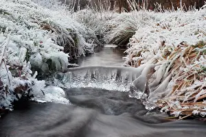 230122: Winter landscape by a stream, hoarfrost and icicles