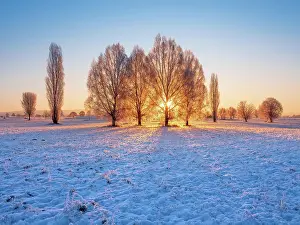 Unstrut: Winter landscape at sunrise, field with snow, trees