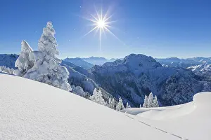 Upper: Winter landscape with trees in front of mountains