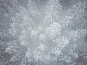 Economy: Winter in the Ore Mountains
