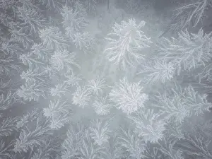 Economy: Winter in the Ore Mountains