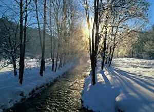 Flanked: Winter scenery - morning sun and steaming brook