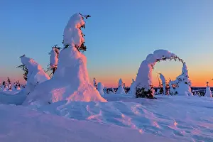 Moun: Winter spruce forest - winter landscape on Riisitunturi moun