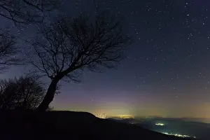 Starlit: Winter Starlit Sky