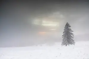 Hoarfrost: Winter sunset on the mountain with hoarfrost on t