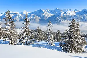 Eiger: Winter view from the Niederhorn to the Schreckhorn