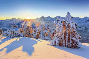 Stairway: Winter view from the Niederhorn at sunrise, view