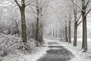 Roads: Winter walk in heavy snowfall