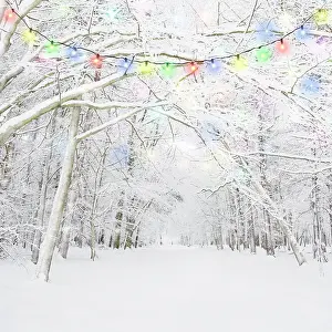 Copyspace: Winter woodland with snow and Christmas lights Digital Mani