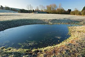 Avon: Winterbourne at Boscombe in Avon valley catchment