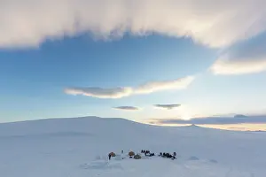 Scooter: Wintercamp