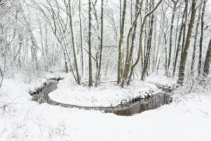 Drentsche: Winterlandscape with meander through woods