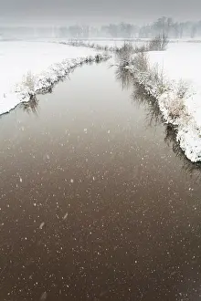 Drentsche: Winterlandscape with snowfall over stream