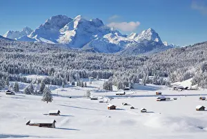 Werdenfelser: Winterly hummock meadows with Zugspitze group in