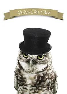 070219: Wise Old Owl, wearing Top Hat and Monocle