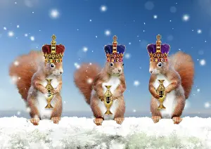 Wise: Three wise Red Squirrels - 3 standing in snowy Christmas sce