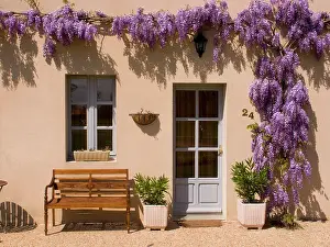 Doorway: Wisteria