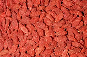 Chinense: Wolfberry / Goji Berries - dried