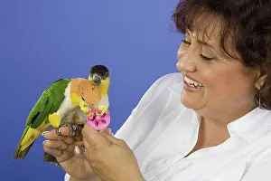 Psittacinae: Woman with Black-headed and White-bellied Caiques