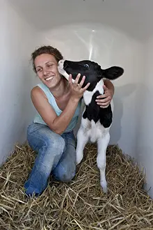 Licked: A woman caring for a niche Veal Holstein Germany
