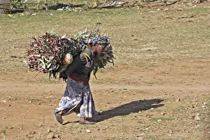 Eucalypt: Woman carrying eucalyptus