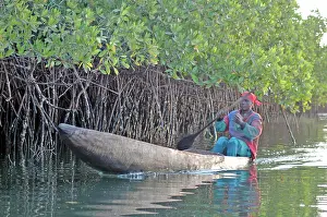 Canoes: Woman in dugout canoe transport in mangrove swamp