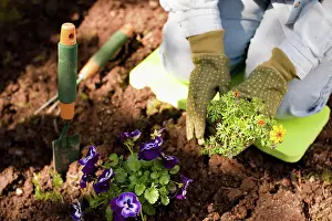 Hobbies: Woman Gardening