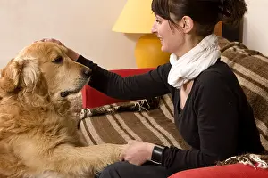 Giving: Woman and Golden Retriever on a sofa France