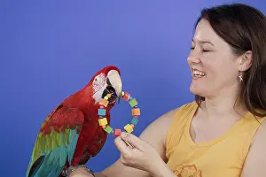Psittacinae: Woman with Her Green-winged Macaw