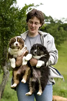 Tranquillity: Woman holding in her arms two Australian Shepherd Puppies