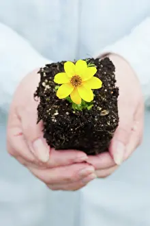Hobbies: Woman Holding Flower