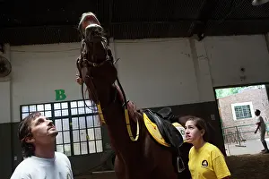 Race: Woman and horse hsnissant in a horse therapy center