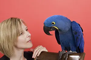 Psittacinae: Woman with Her Hyacinth Macaw