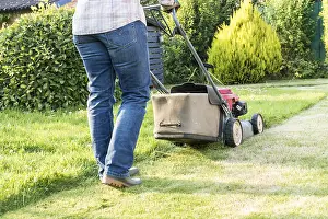 Boundary: Woman mowing a lawn, summer, Pas de Calais, France