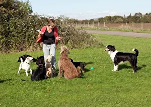 Exercising: Woman playing with dogs