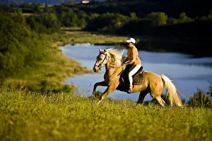 Knights: Woman riding a Akhal-Teke horse galloping front of a lake