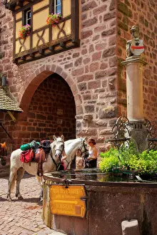 Saddle: Woman with saddle horses at the public fountain