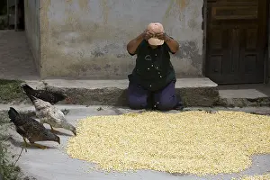 Multitudes: Woman spreading Corn on the soil to dry it Ecuador