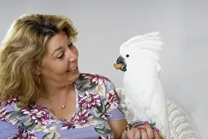 Cacatua: Woman with Her Umbrella Cockatoo