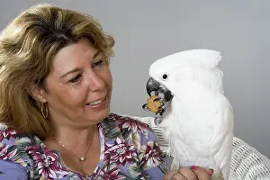 Cacatua: Woman with her Umbrella Cockatoo