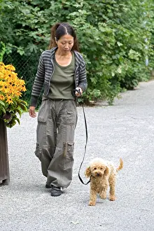 Promenade: Woman walking with a miniature poodle bitch in a garden