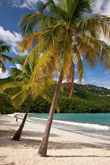 Thomas: Woman walking along the white sandy beach