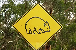 Warning: Wombat warning sign, Tasman Peninsula, Southern