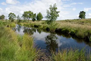Aonb: Womere Pool - Cannock Chase AONB