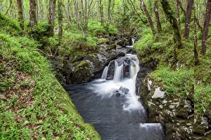 Vista: Wood of Cree - Dumfries and Galloway - UK