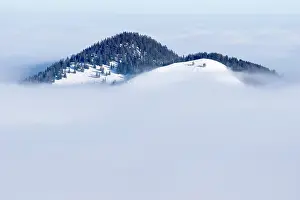 Mangfall: Wooded hills with snow rising from fog in winter