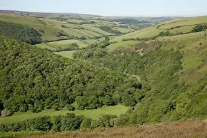 Exmoor: Wooded valley on Exmoor taken from Countrygate Country Park