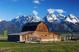Tetons: Wooden Barn - at John Moulton Homestead in June